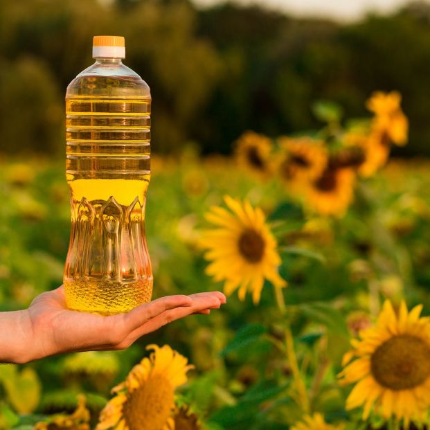 aceite-de-girasol