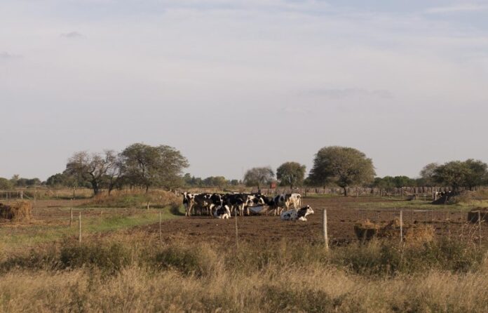ruta-de-la-leche