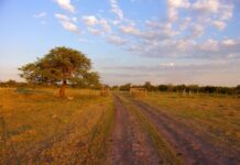 Tras un miércoles con tiempo estable anuncian que el jueves regresarán las lluvias