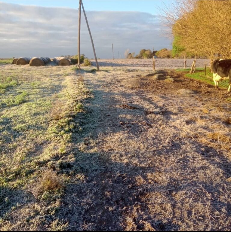 El lunes tendrá heladas y temperaturas bajo cero en Entre Ríos