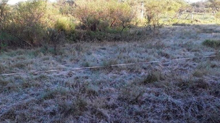 Se viene un frente frío y hay fecha para las primeras heladas del 2026