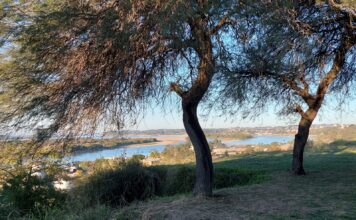El miércoles empezó frío y estará mayormente soleado durante todo el día