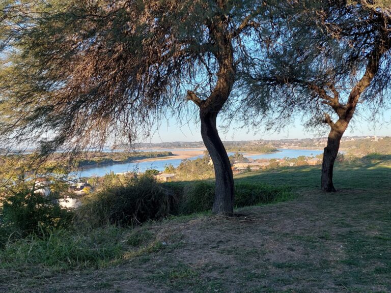 Las temperaturas vuelven a subir y prevalece el tiempo estable