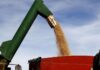 Retenciones agrícolas: Entre Ríos aportó en promedio US$93 millones anuales al Estado nacional