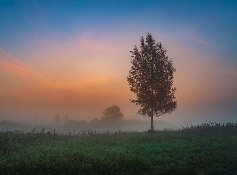 Martes con niebla y temperaturas en leve ascenso