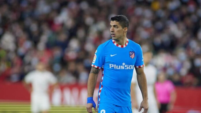 suarez