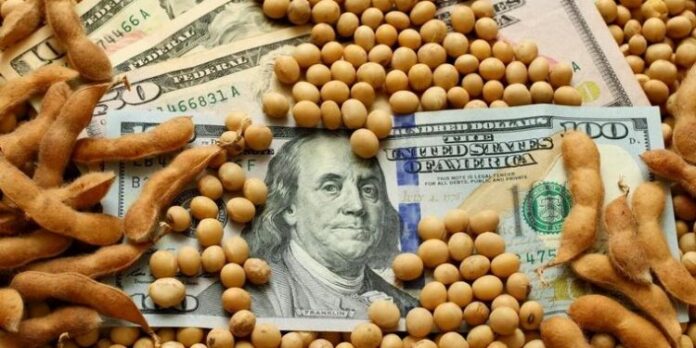 dolar-soja-750x375