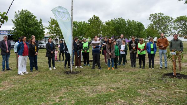 bosque-saludable-ramirez