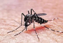 Alerta sanitaria en Entre Ríos: confirmaron el segundo caso de dengue en la provincia