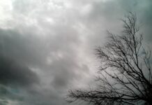 Martes gris y fresco en Entre Ríos: cómo seguirá la semana