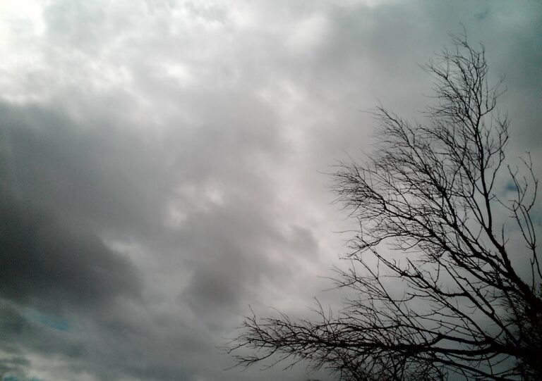 Martes gris y fresco en Entre Ríos: cómo seguirá la semana