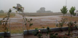 Lluvia en Distrito Doll, departamento Diamante. Foto: Alcides Wolf.