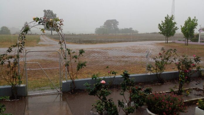 Lluvia en Distrito Doll, departamento Diamante. Foto: Alcides Wolf.