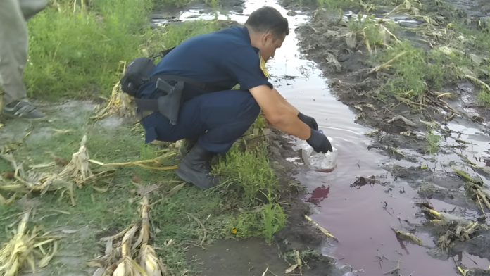 arroyo-marrincho-strobel-contaminacion