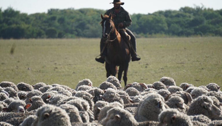 Aumento para peones rurales: el salario básico perfora el piso del millón de pesos