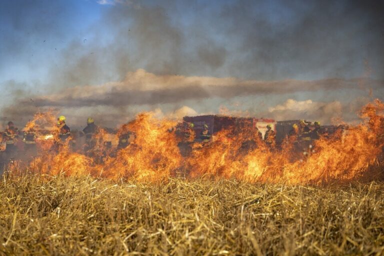 Entre Ríos presentó un plan integral de capacitación para combatir los incendios rurales y forestales