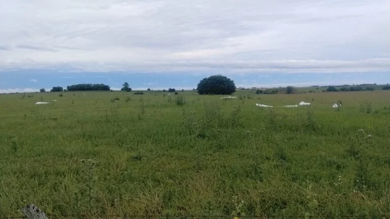 La semana terminará con alerta amarilla por tormentas en Entre Ríos