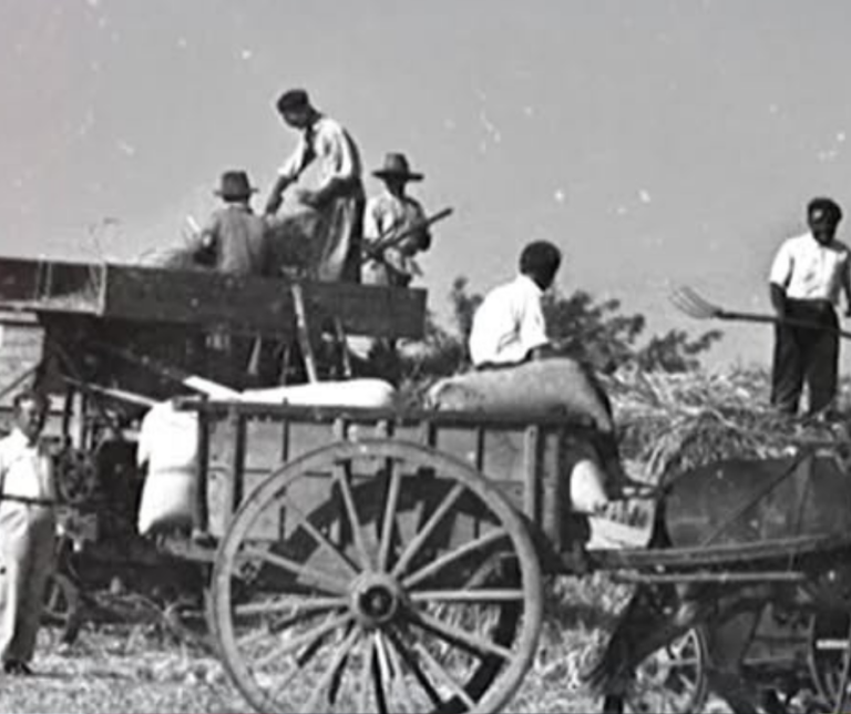 Realizarán una charla informativa sobre la historia de los alemanes del Volga en General Ramírez